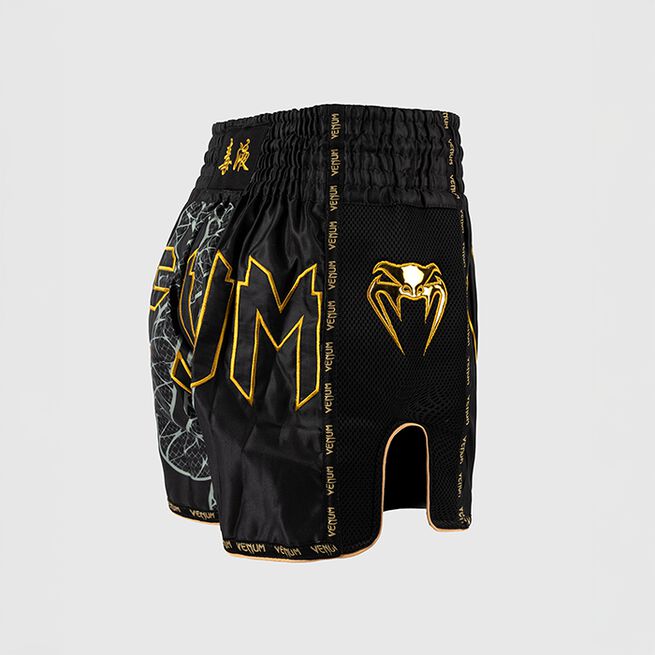 Serpenti Muay Thai-Shorts Svart Sølv Gull