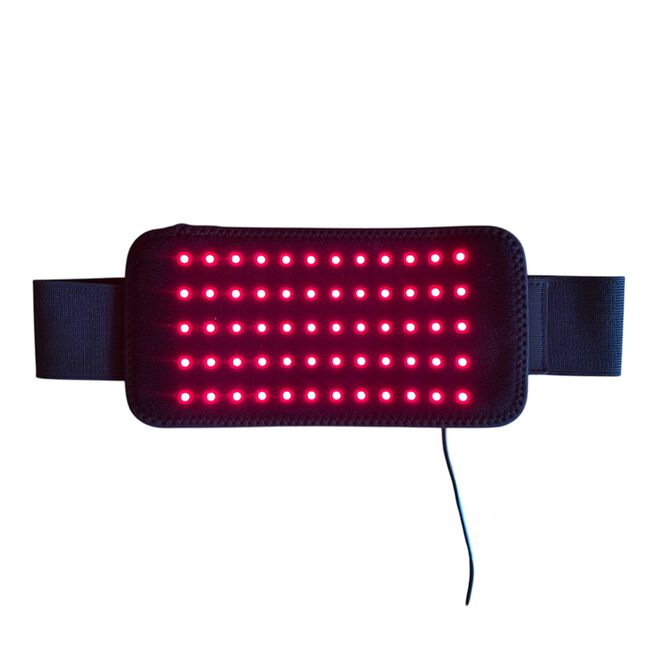 The Red Salamander Rødtlysbelte