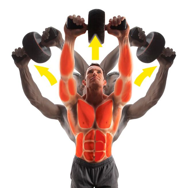 Speed Ab Roller Magehjul