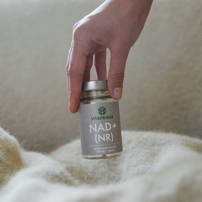 NAD+ 300 mg Nikotinamid Ribosid 30 kapsler