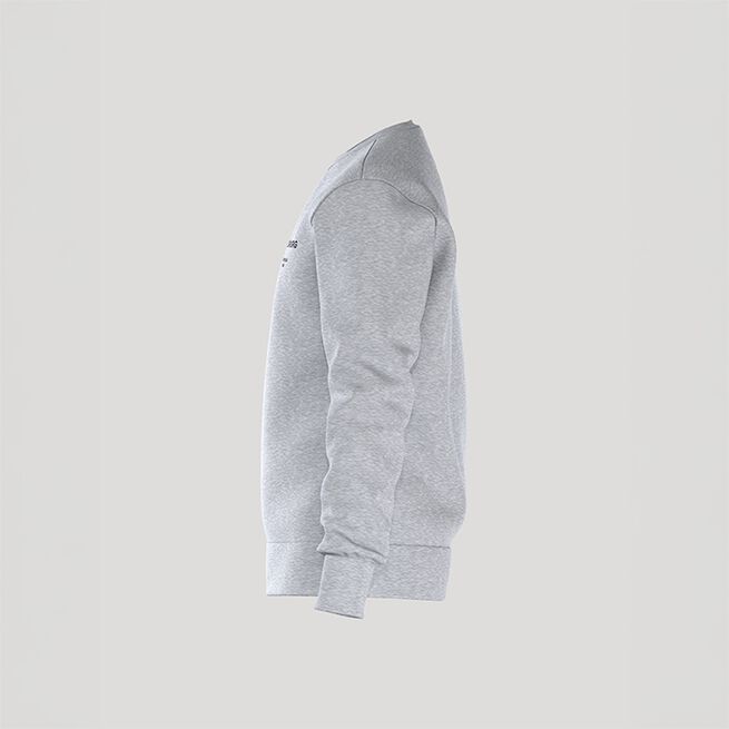 Borg Essential 1 Sweatshirt Grå
