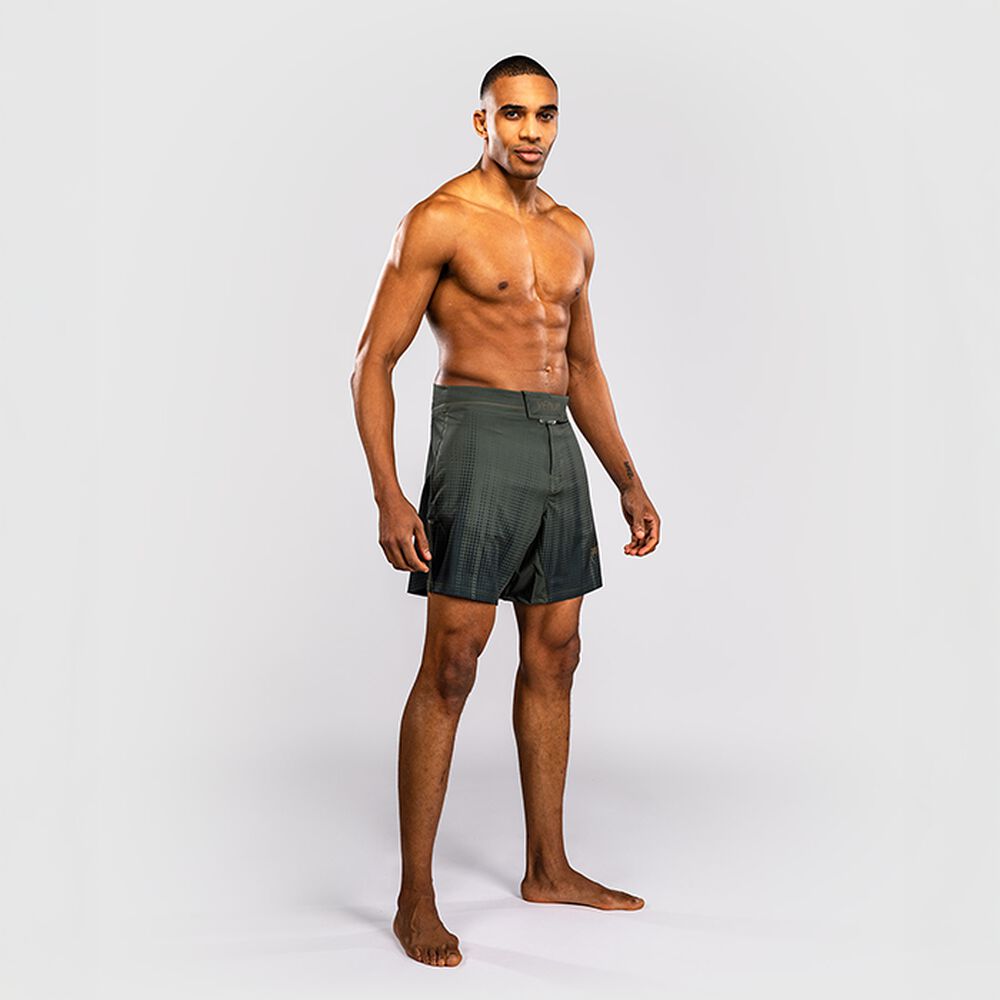 Venum Stealth Fightshorts, bilde 3 av 5