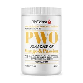 Prolific PWO 280 g – PWO