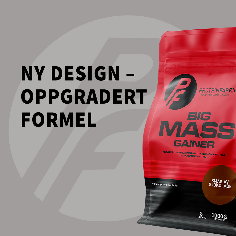 Big Mass Gainer, 1000 g jordbaer