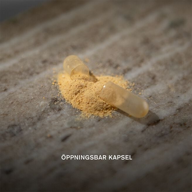 Lions mane 60 vegetabilske kapsler