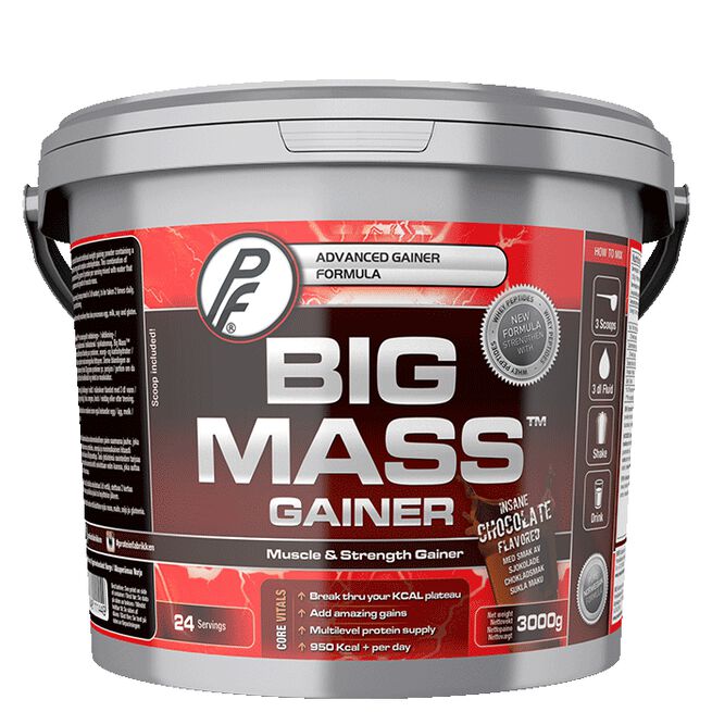 Big Mass Gainer, 3000 g Jordbaer