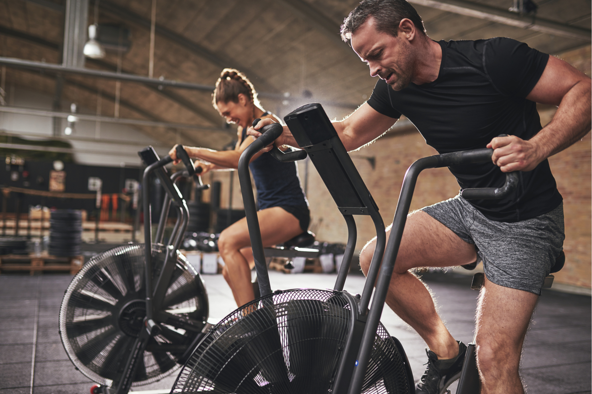 beta alanin gymgrossisten beta alanin gymgrossisten