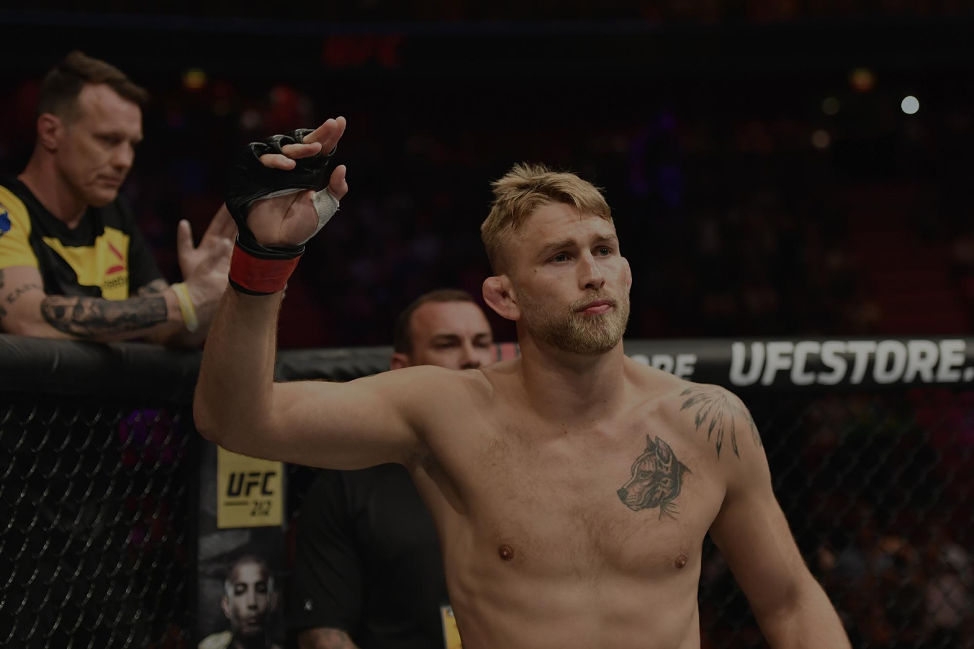Alexander Gustafsson: Bring it on!
Alexander Gustafsson: Bring it on!
