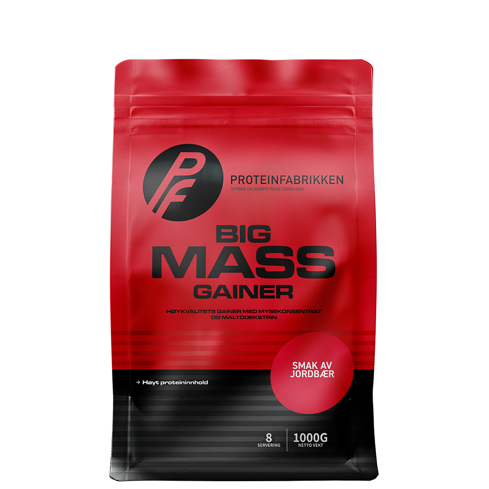 Big Mass Gainer, 1000 g jordbaer
