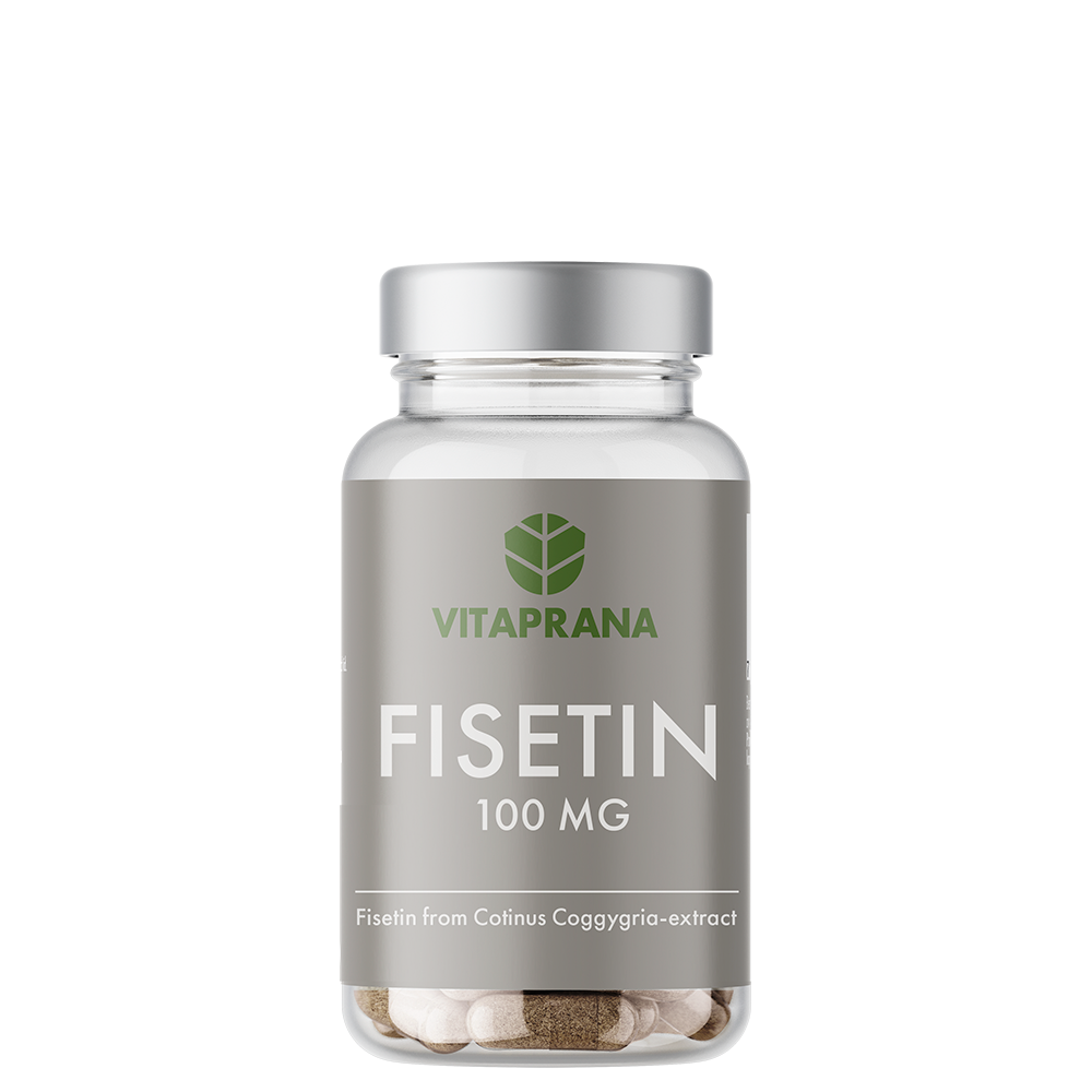 Fisetin 100 mg 60 kapsler