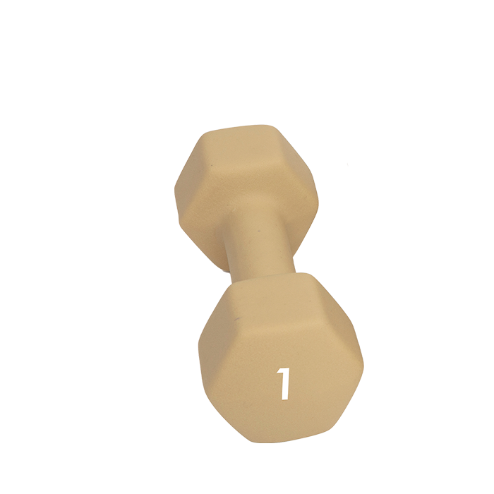 Abilica Manual 1–10 kg