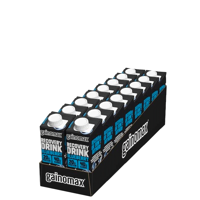 16 x Gainomax Recovery 250 ml Blueberry