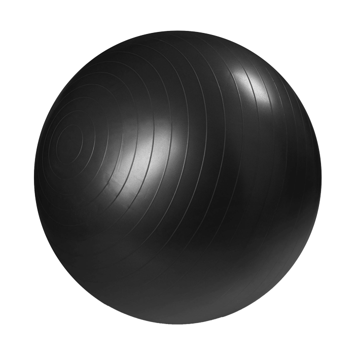 Master Fitness Gymball