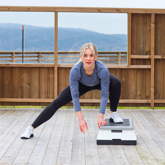 StepUp Pro Steppkasse 