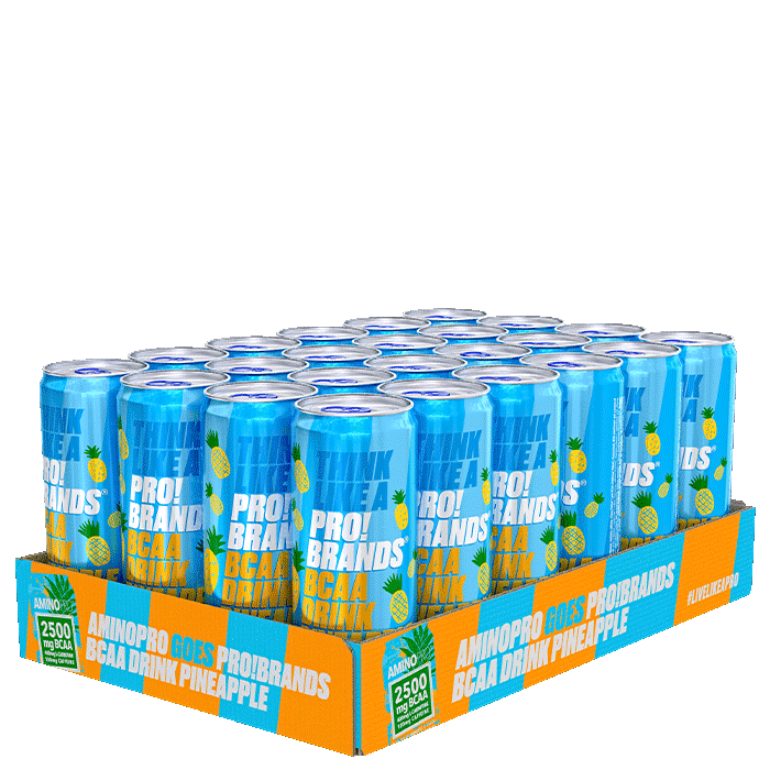 24 x Pro Brands BCAA Drink, 330 ml