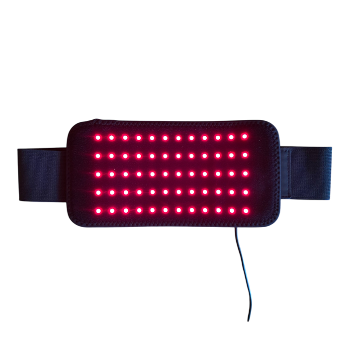 The Red Salamander Rødtlysbelte