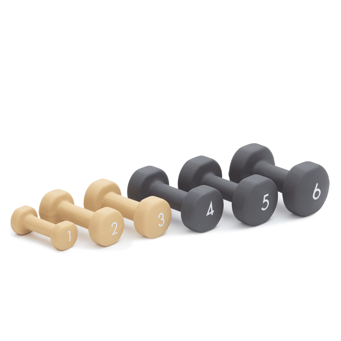 Abilica DumbBell