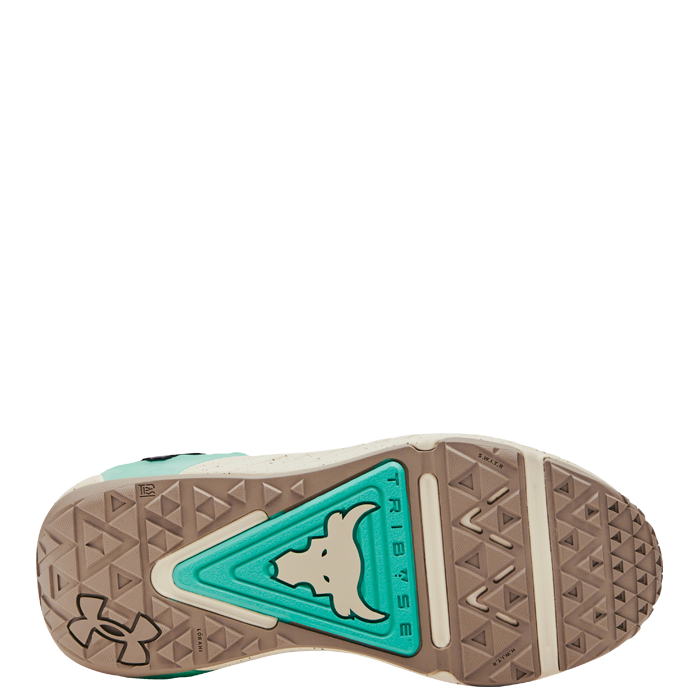 UA Women Project Rock 6, Brown