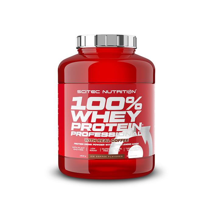 NEW! 100% Whey Protein Professional 1816g
