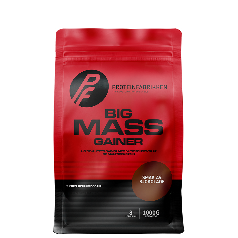 Big Mass Gainer, 1000 g