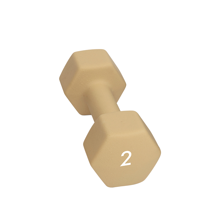 Abilica Manual 1–10 kg