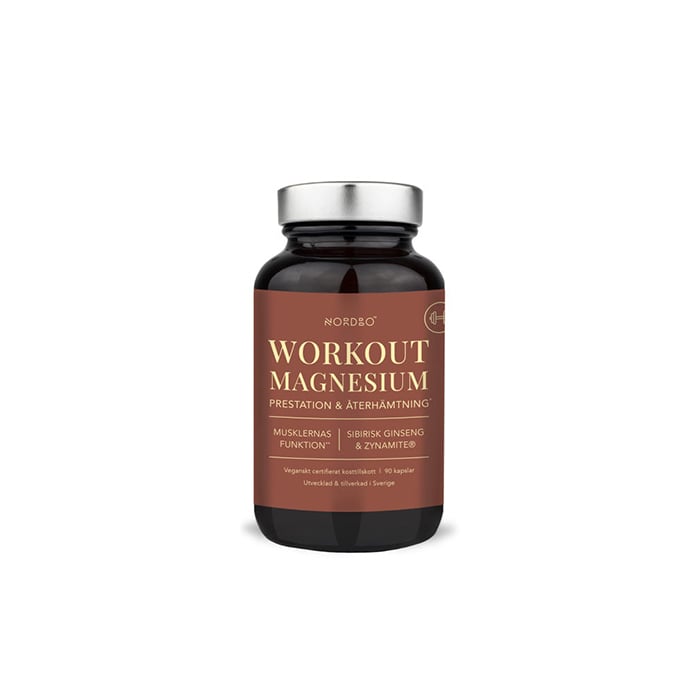 WorkOut Magnesium 90 kap